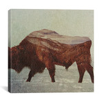 Bison II (12"W x 12"H x 0.75"D)