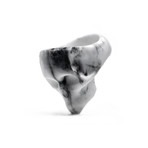 Marble Skull Ring // White + Black (Size 5)
