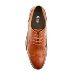 Xray // Tayler Derby Oxford // Tan (US: 9)