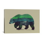 Northern Light for Polar Bear (18"W x 12"H x 0.75"D)