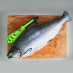 Kombo Fish Tool // Green