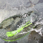 Kombo Fish Tool // Green