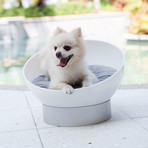 White Acrylic Round Dog Bed (Berry Blue)