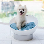 White Acrylic Round Dog Bed (Berry Blue)