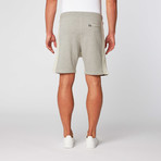 Reverse Panel Shorts // Grey (S)