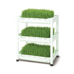 Tribest Sproutman's // Wheatgrass Grower