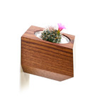 Sidecar // Walnut + White