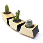 Boxcar // Ash + Black