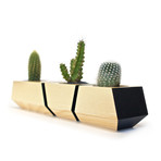 Boxcar // Ash + Black