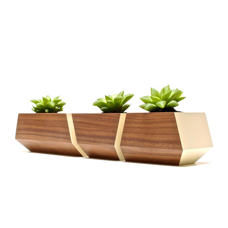 Boxcar // Walnut + Bone White