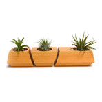Douglas Fir Boxcar Planter // Natural
