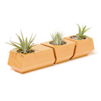 Douglas Fir Boxcar Planter // Natural