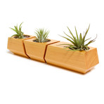 Douglas Fir Boxcar Planter // Natural