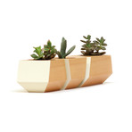 Douglas Fir Boxcar Planter // White