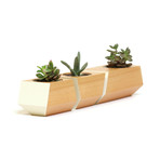 Douglas Fir Boxcar Planter // White