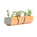 Douglas Fir Boxcar Planter // Slate