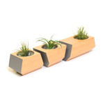 Douglas Fir Boxcar Planter // Slate