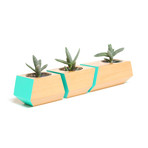 Douglas Fir Boxcar Planter // Teal
