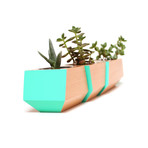 Douglas Fir Boxcar Planter // Teal