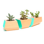 Douglas Fir Boxcar Planter // Teal