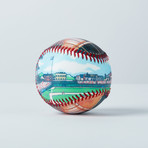 Wrigley Field (Baseball + Display Case)