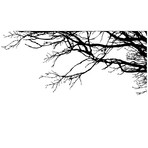 Tree Top Branches // Reverse (100"W x 44"H)