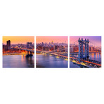 NYC Skyline (20"H x 60"W x 1"D)