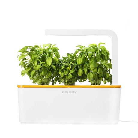 Smart Herb Garden Starter Kit // Orange