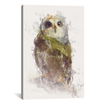 Owl // Dániel Taylor (26"W x 18"H x 0.75"D)