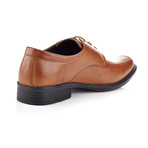 Classic Lace-Up Dress Shoe // Brown (US: 11)