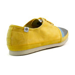 Lightwing Trainer // Pencil (US: 10)