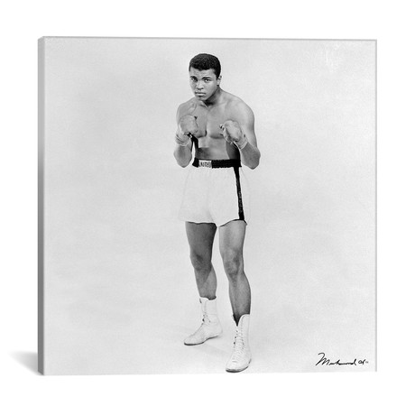 Heavyweight Boxer Muhammad Ali (18"W x 18"H x 0.75"D)
