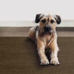 Ruggable // 2-Piece Washable Rug System // Solid Chenille // Tobacco