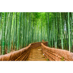 Bamboo Forest (90"W x 60"H)