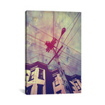 Wires (18"W x 26"H x 0.75"D)