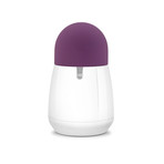 Sola Egg // Wellness Set