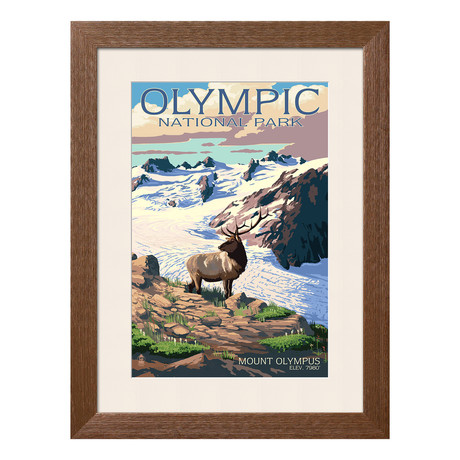 Olympic National Park // Mt. Olympus + Elk