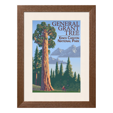 Kings Canyon National Park // General Grant Tree