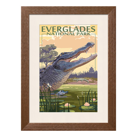 The Everglades National Park // Alligator Scene