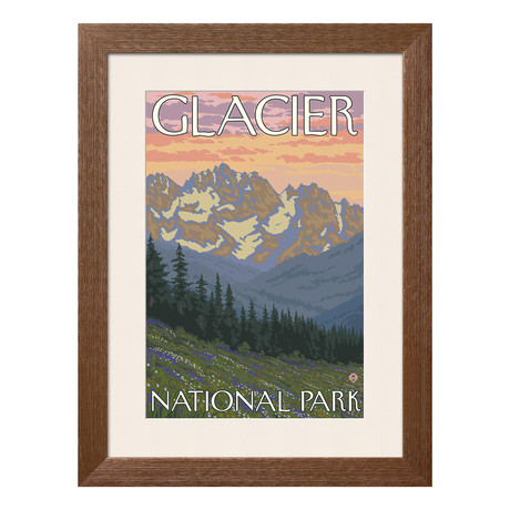 Glacier National Park // Spring Flowers