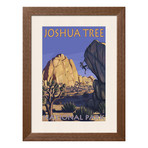 Joshua Tree National Park // Boulder Climber