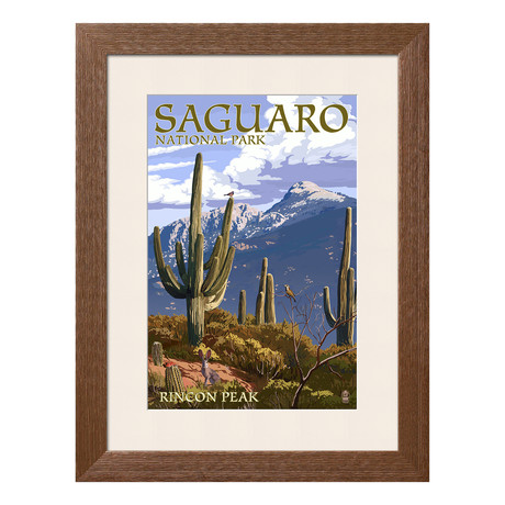 Saguaro National Park // Rincon Peak