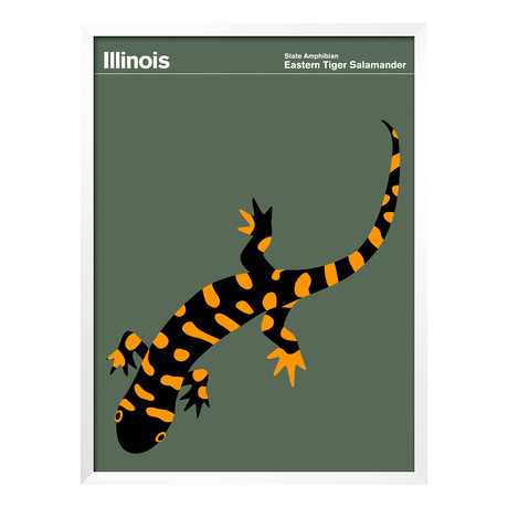 Illinois