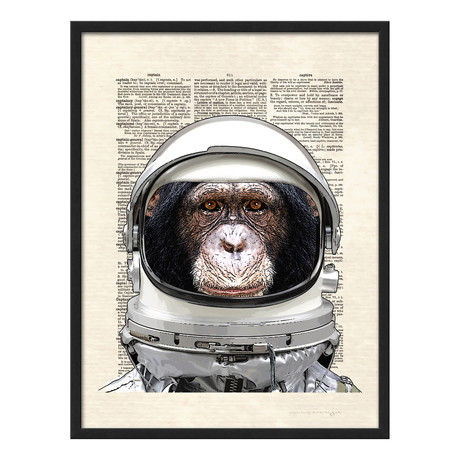 Matt Dinniman // Space Chimp