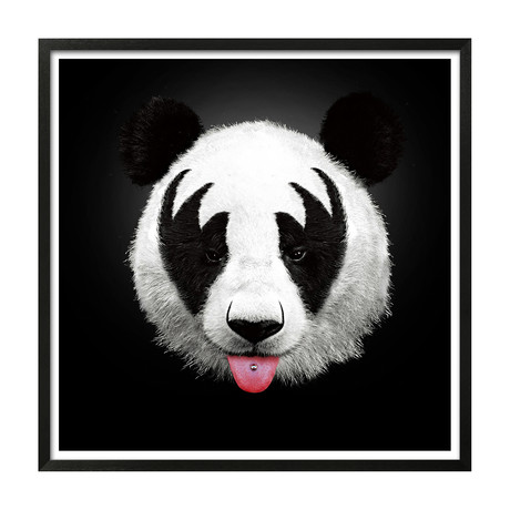 Panda Rocks