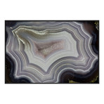 Darrell Gulin // Banded Agate, Washington State II