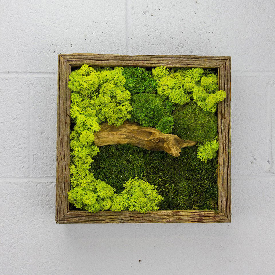 FlowerBox LongLasting Natural Art Touch of Modern