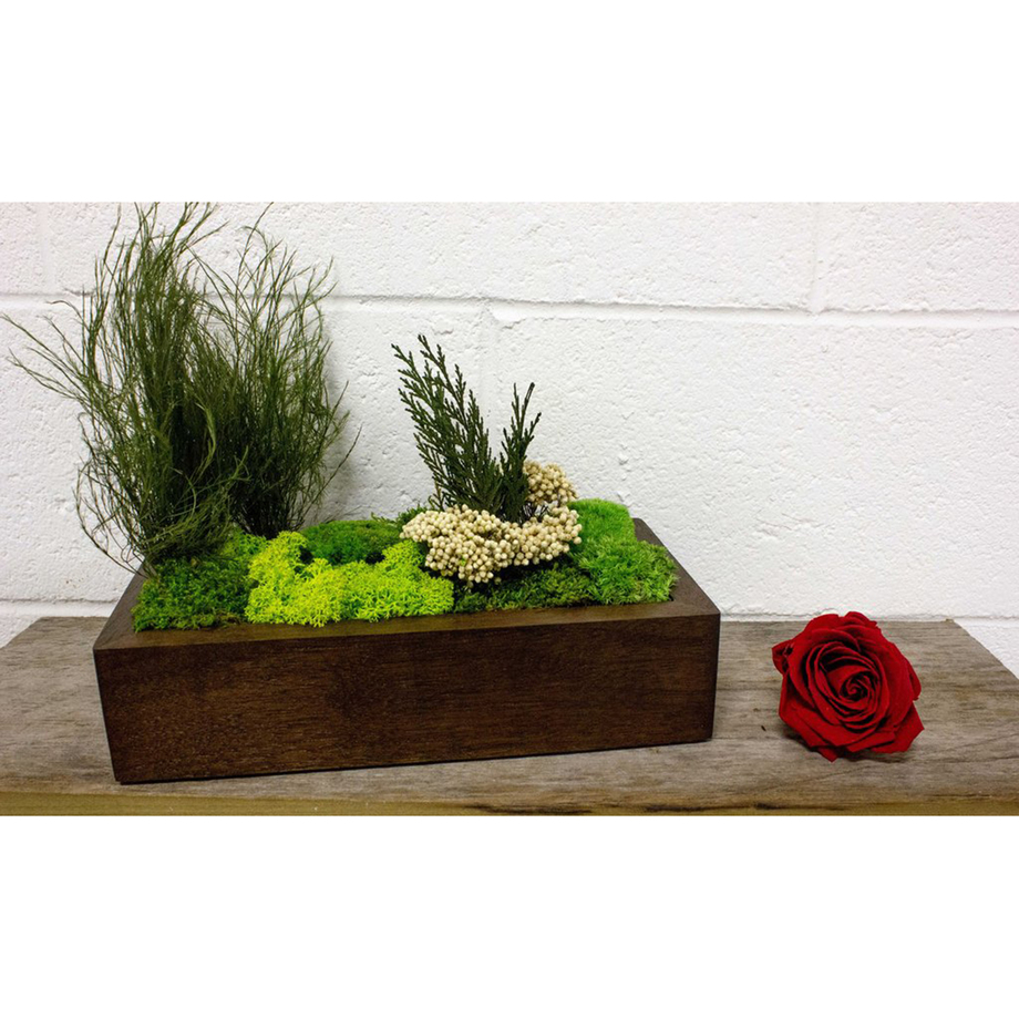 FlowerBox LongLasting Natural Art Touch of Modern