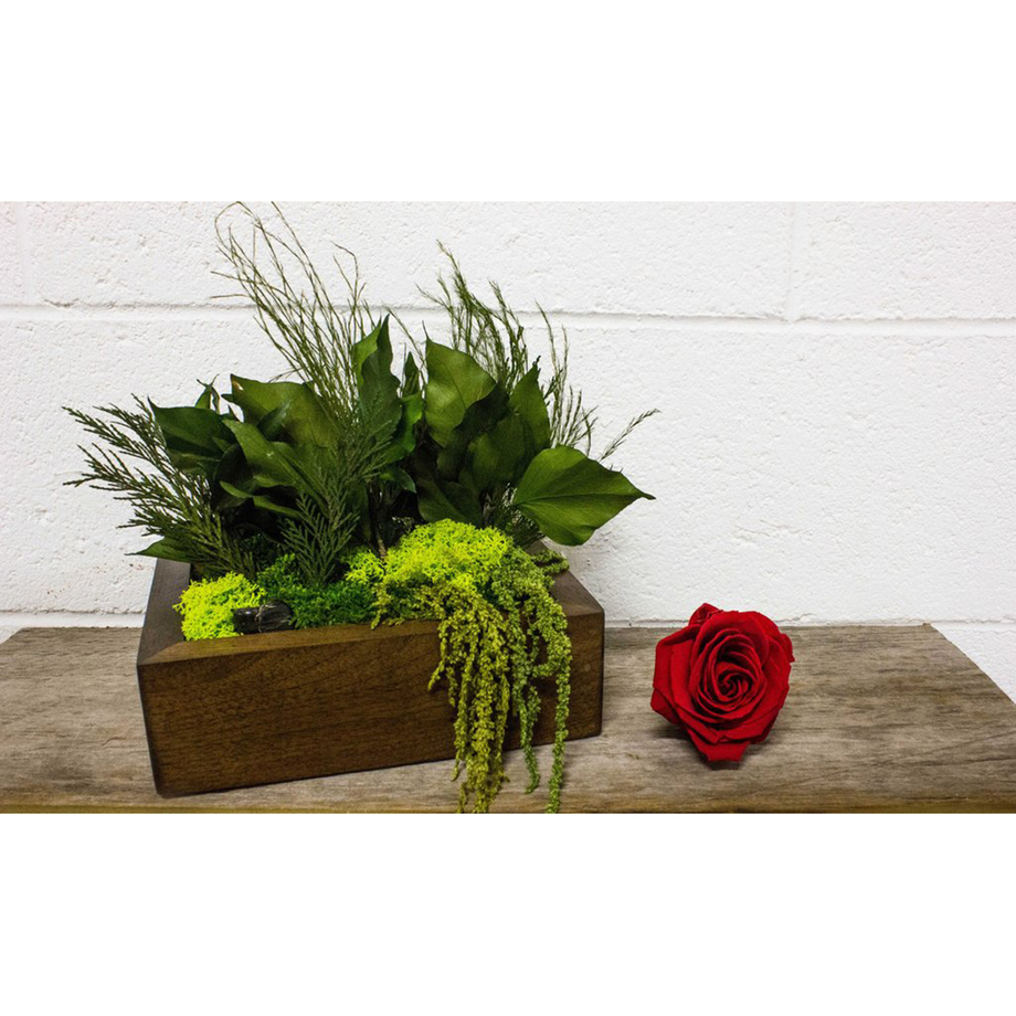 FlowerBox LongLasting Natural Art Touch of Modern