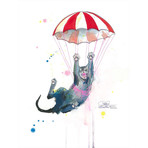 Parachute Cat (18"W x 24"H x 2"D)